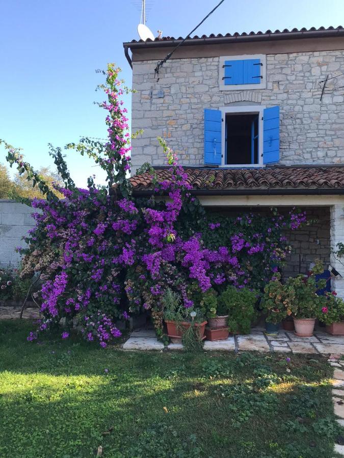 بالي Farmhouse Cubani المظهر الخارجي الصورة