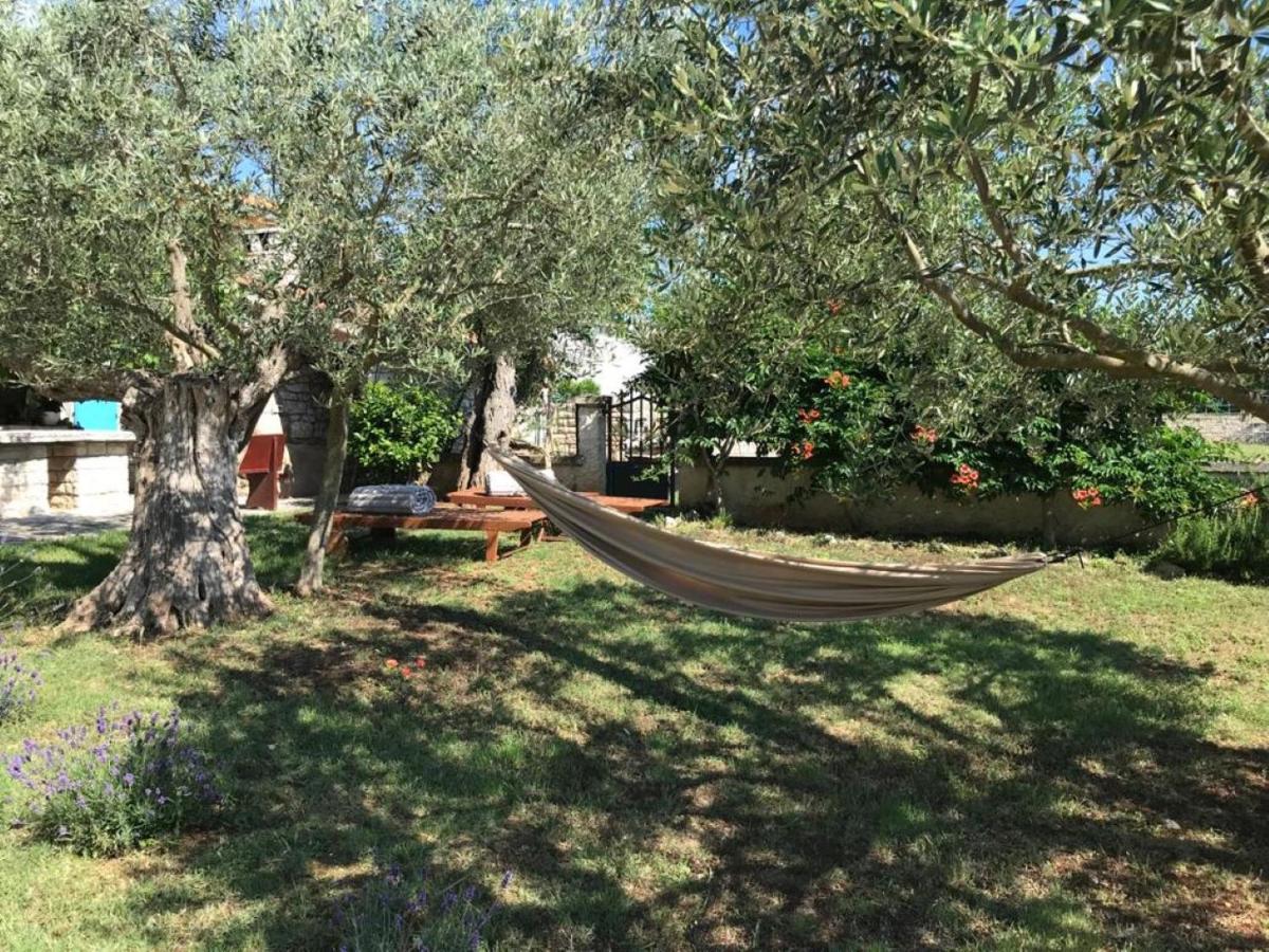 بالي Farmhouse Cubani المظهر الخارجي الصورة